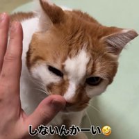 手の匂いを嗅ぐ