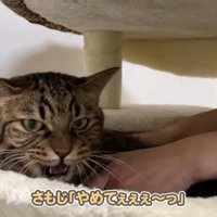 やめてぇぇぇ～っ