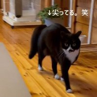 目を大きく開いて近づいてくるあもちゃん