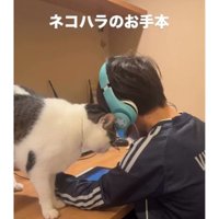 男の子と猫