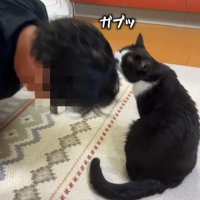 ガブッ
