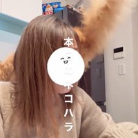 肩に乗っかる猫