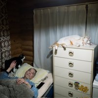 寝転がる猫とベッドに入る男性