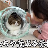 またもや荒ぶる赤様！
