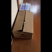 吸い込まれていくしっぽ