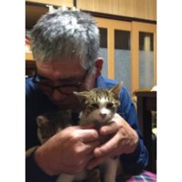 抱かれている猫