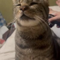背中に当ててもらう凛太郎くん