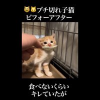 スプーンを目の前に