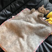 布団で眠る猫さん