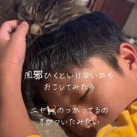 顔をなでられる猫