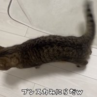 「プンスカみにらだｗ」のテロップ写真