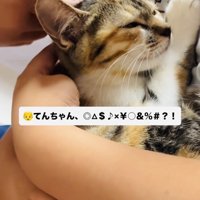 息子さんに抱っこされてママさんに撫でられる子猫