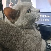 少し上を向いた横顔