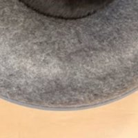 寝ている猫