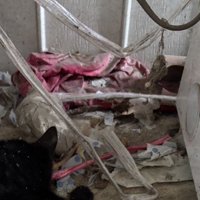 壁の隅に集まっているゴミ