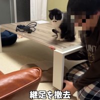 テーブルの上