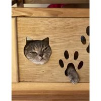 ハウスに入っている猫