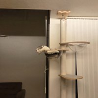 キャットタワーの上にいる謎の生き物