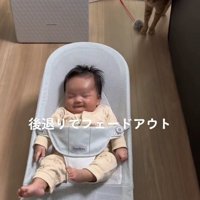 赤ちゃんの後ろにいる猫