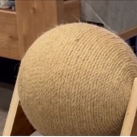 猫の爪とぎ
