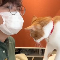 マスクをした飼い主さん