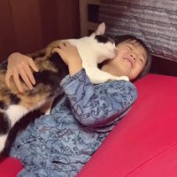 ベッドの上の男の子と猫