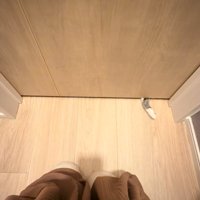 ドアの下から出ている猫の手