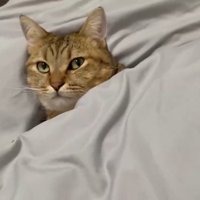 こちらを向いて