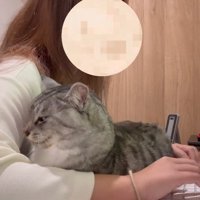 猫を腕の間に入れてパソコン作業をする女性