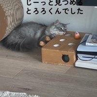 「じーっと～」と書かれた写真