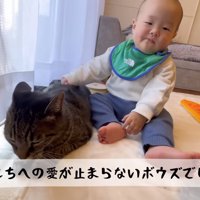 愛が止まらない赤ちゃん