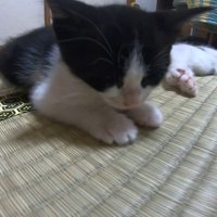 うつらうつら