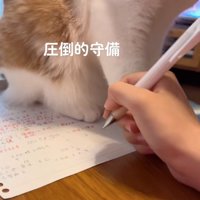 宿題に手を伸ばす