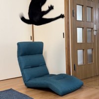 空中に飛び上がる黒猫