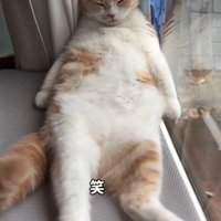 「笑」と書かれた写真