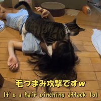 毛つまみ攻撃です