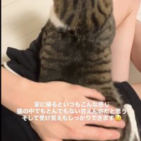 まっすぐ向きながらお尻を撫でられる猫「ずっと一緒にいてあげるにゃ」