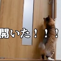 開いた！！！