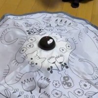 床に置かれたおもちゃ