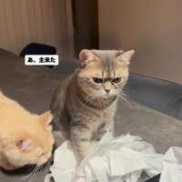 悪戯現場
