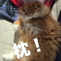 「枕」と書かれた写真1