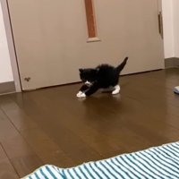 ひとり遊び