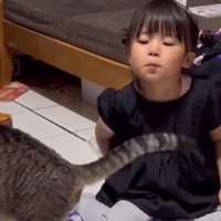 目で猫の動きを追う女の子