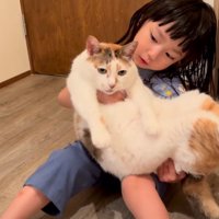 猫に話しかける女の子
