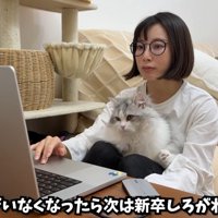 女性の膝の上に乗っている猫