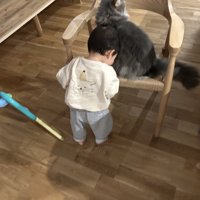 猫にあいさつをする赤ちゃん