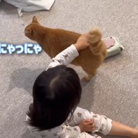 にゃっにゃ