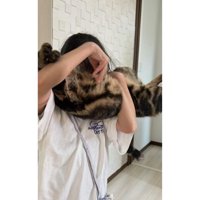 抱っこされている猫