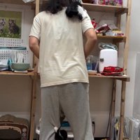 人間に登る子猫たち