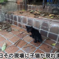 「ある日その現場に...」のテロップ写真